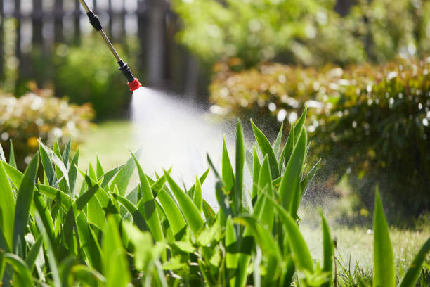 24/7 Emergency Fumigation Services experts in Chesapeake, WV